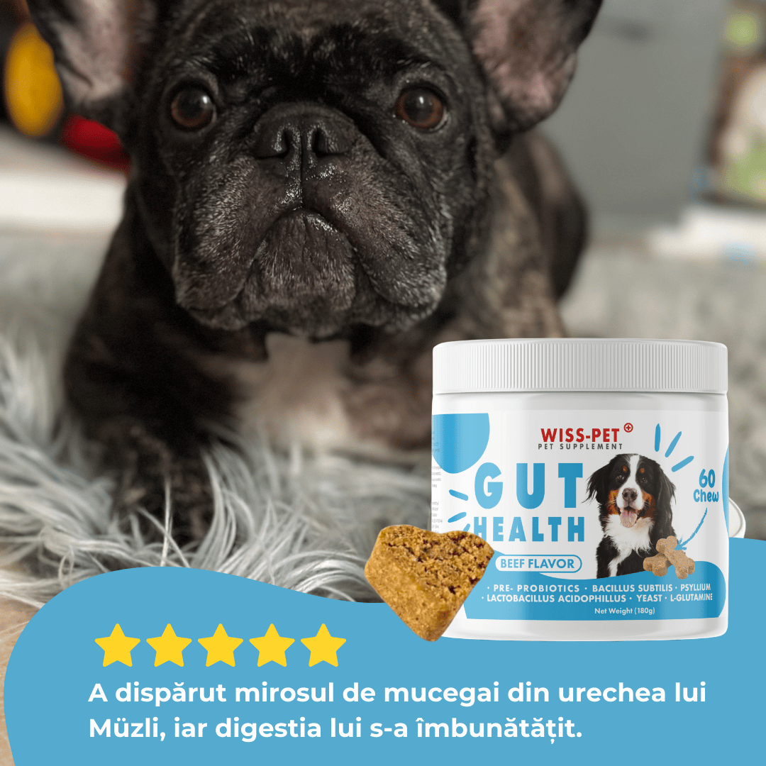 Pre- și probiotice pentru câini