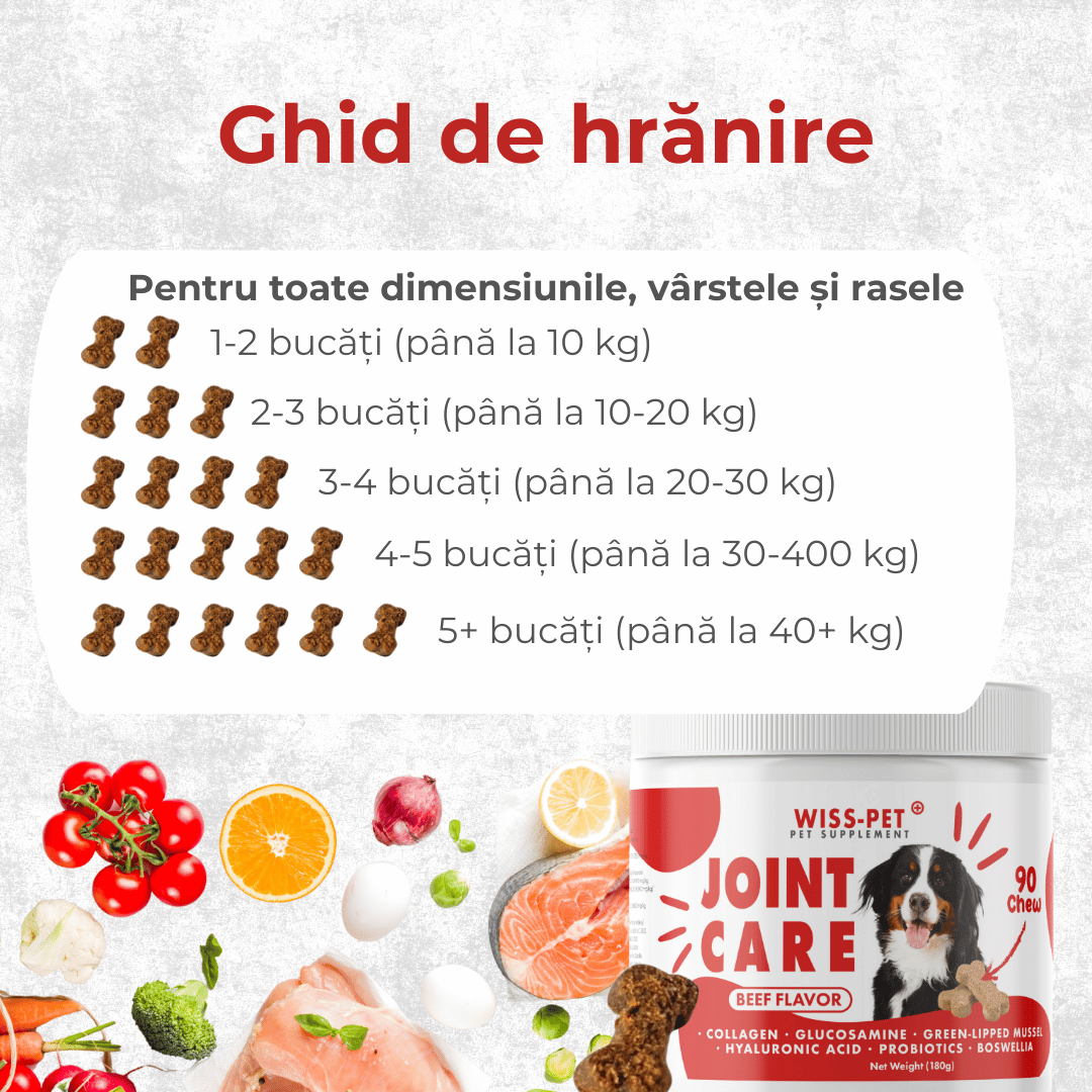 Supliment pentru articulații câini