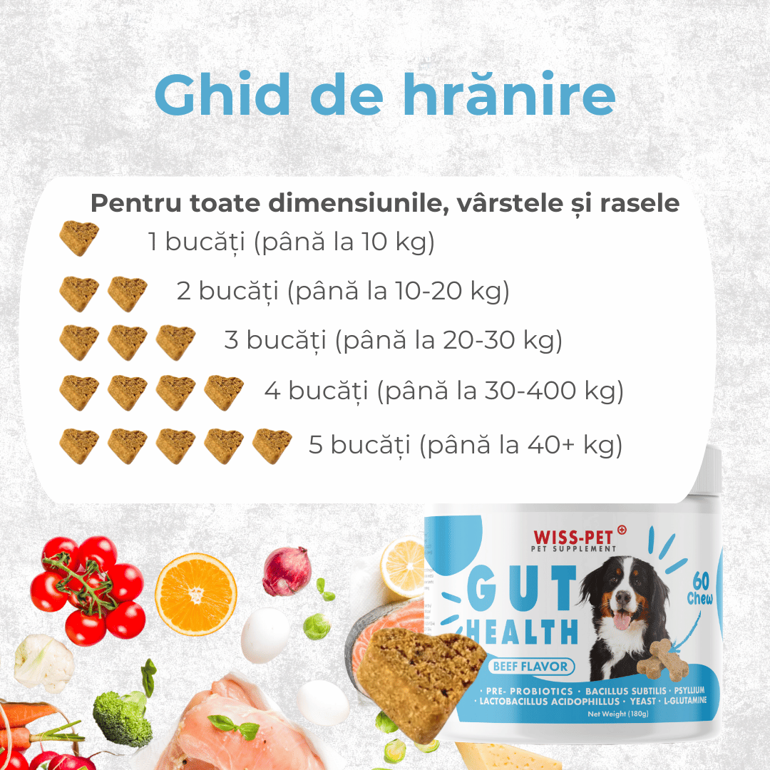 Pre- și probiotice pentru câini