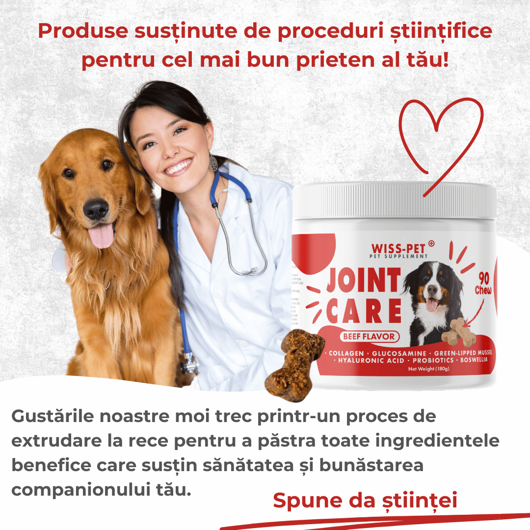 Supliment pentru articulații câini