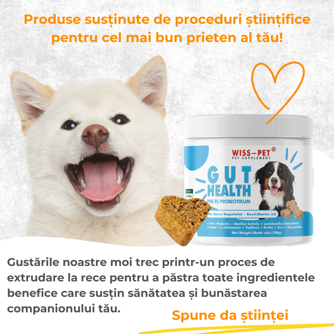 Pre- și probiotice hipoalergenice