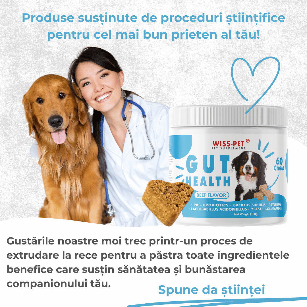 Pre- și probiotice pentru câini