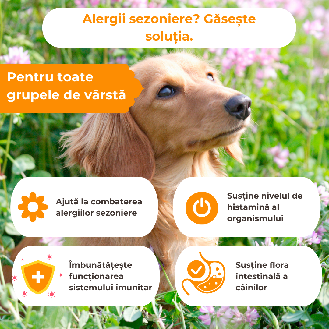 Hipoalergenic Booster imunitar pentru alergii