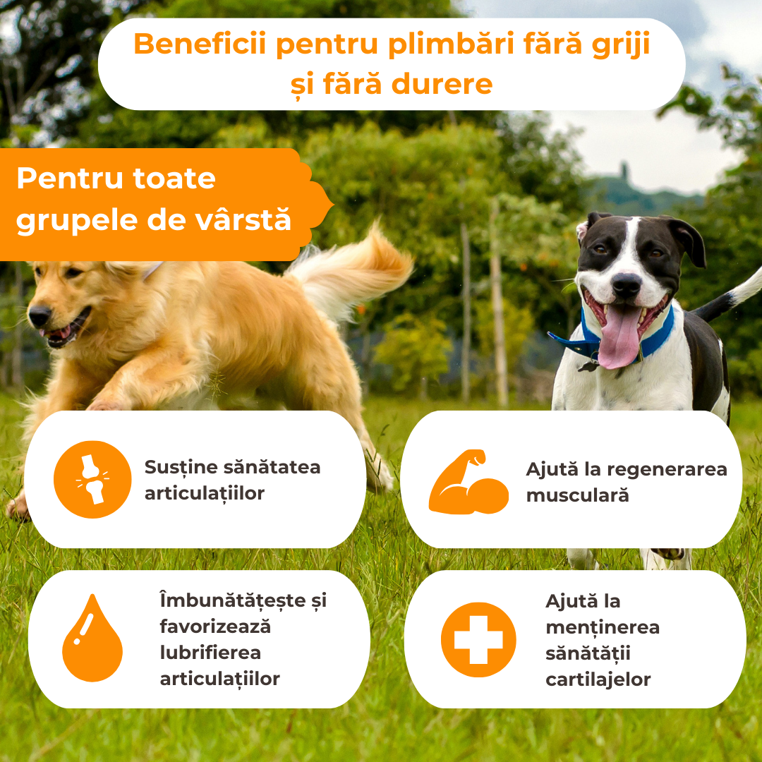 Protector hipoalergenic pentru articulații și întăritor de cartilaj