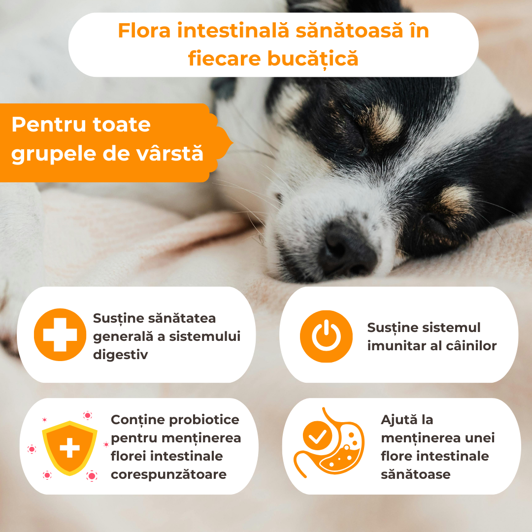 Pre- și probiotice hipoalergenice