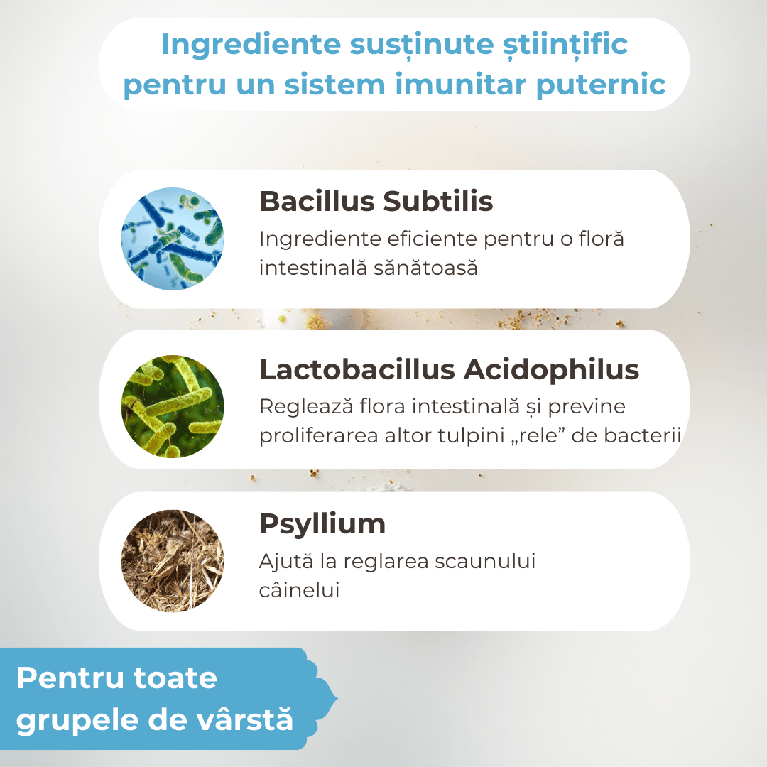 Pre- și probiotice pentru câini