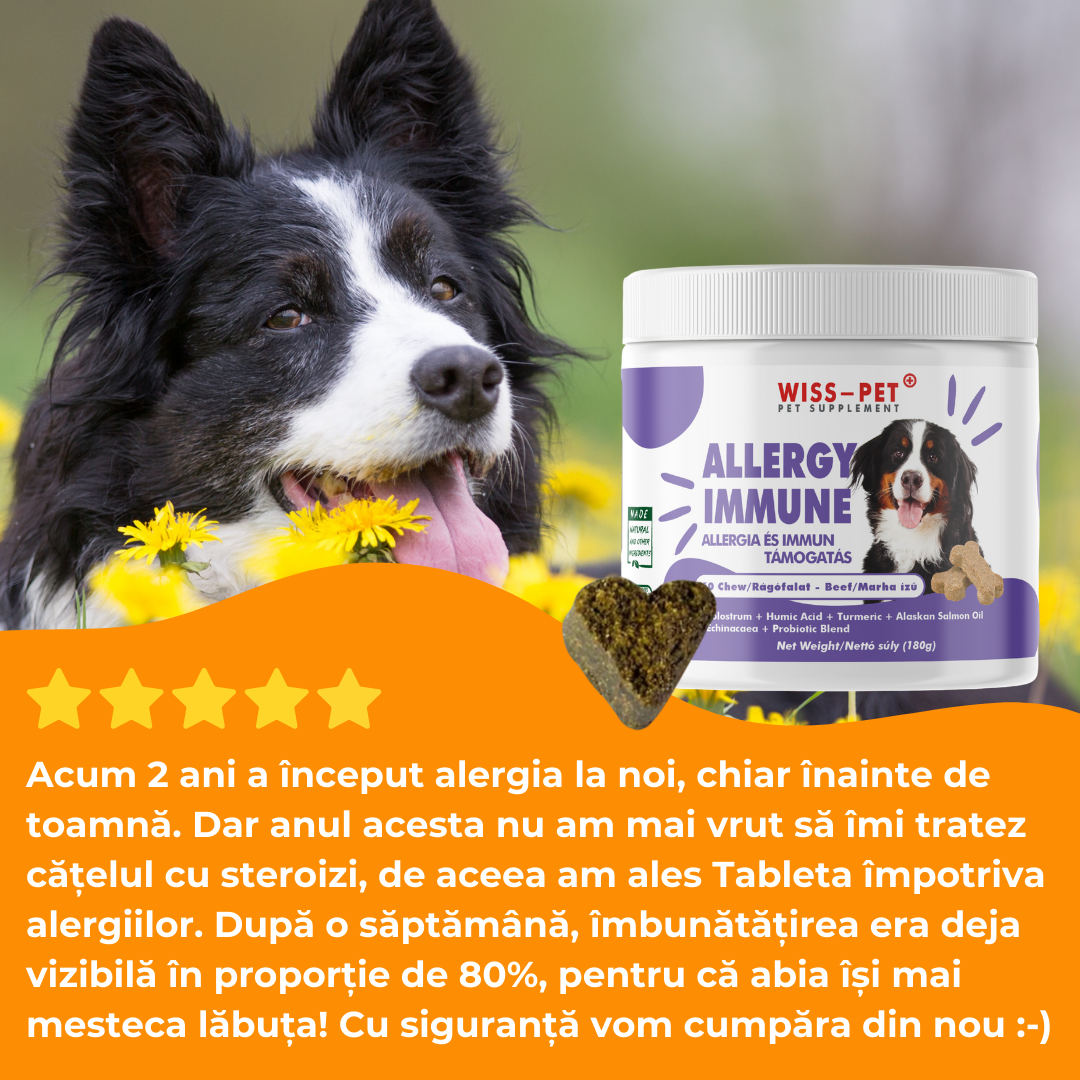 Hipoalergenic Booster imunitar pentru alergii