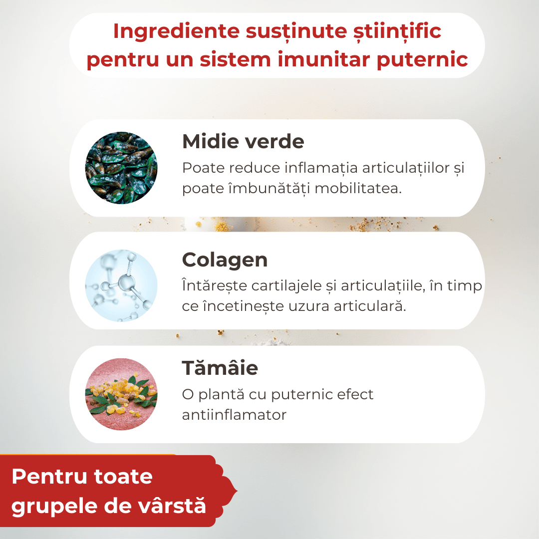 Supliment pentru articulații câini