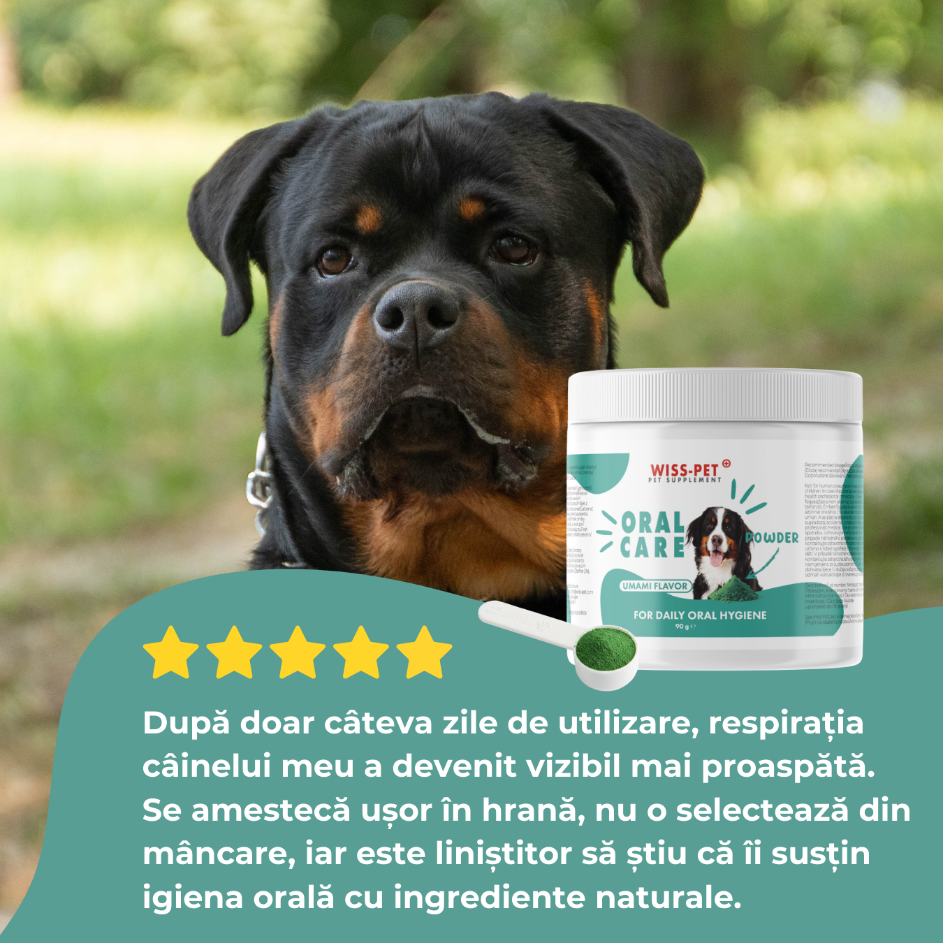 Pudră dentară pentru câini