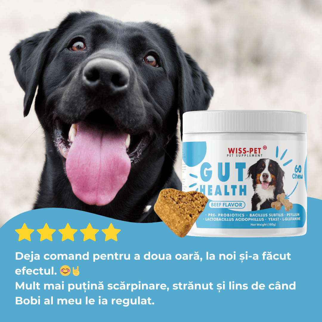 Pre- și probiotice pentru câini