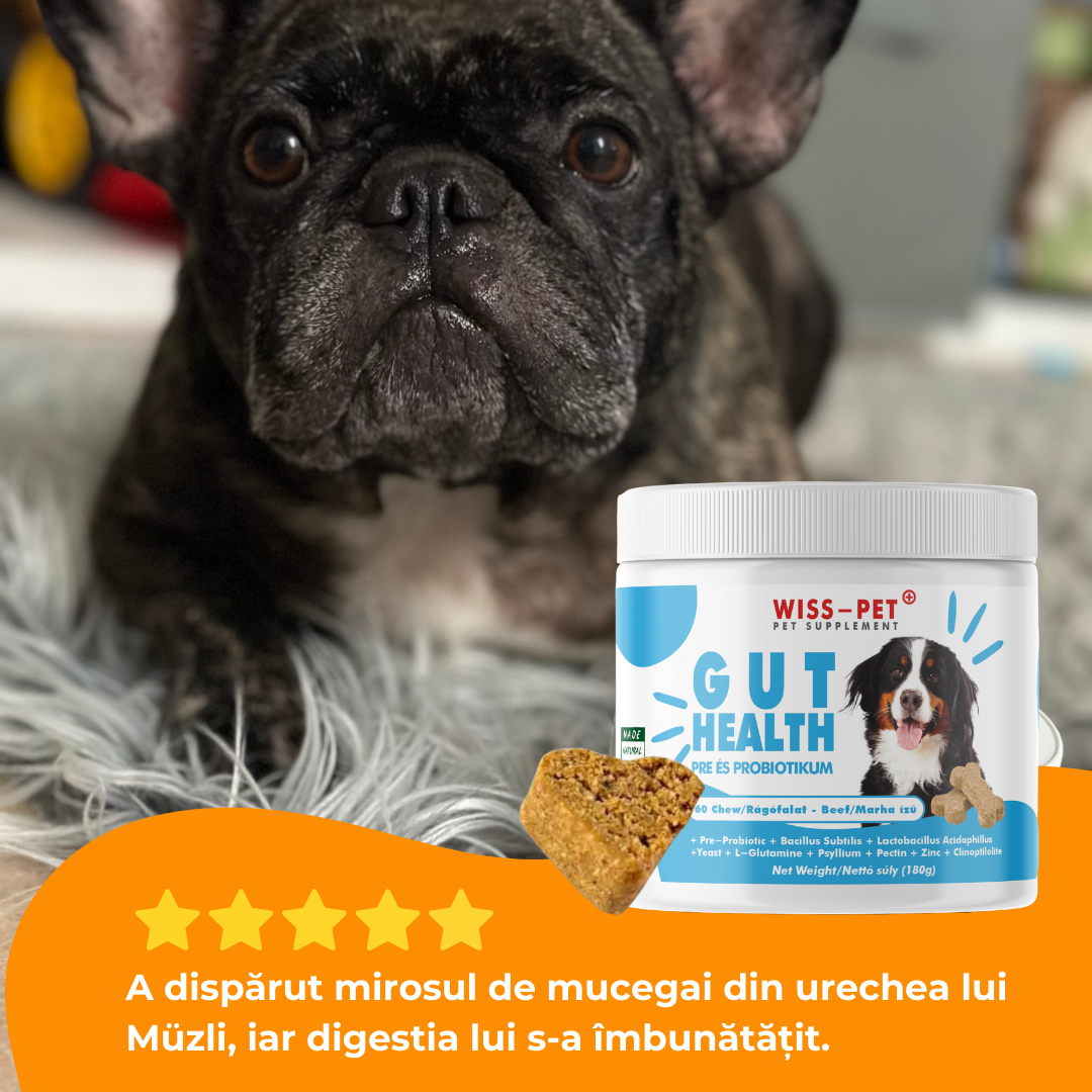 Pre- și probiotice hipoalergenice