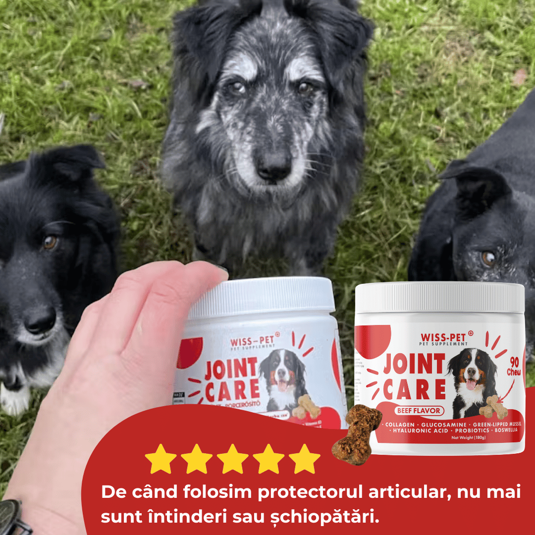 Supliment pentru articulații câini