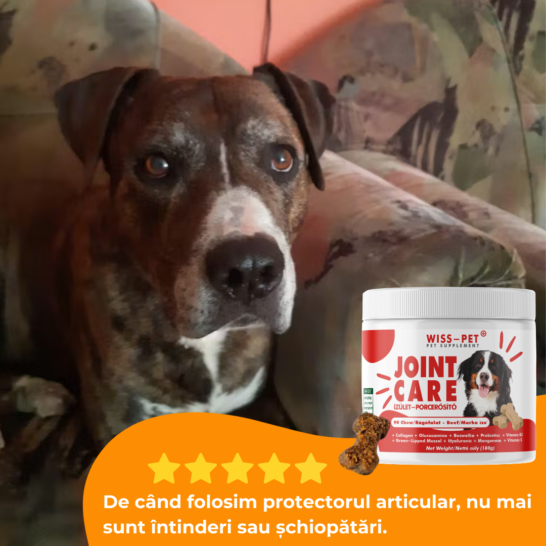 Protector hipoalergenic pentru articulații și întăritor de cartilaj