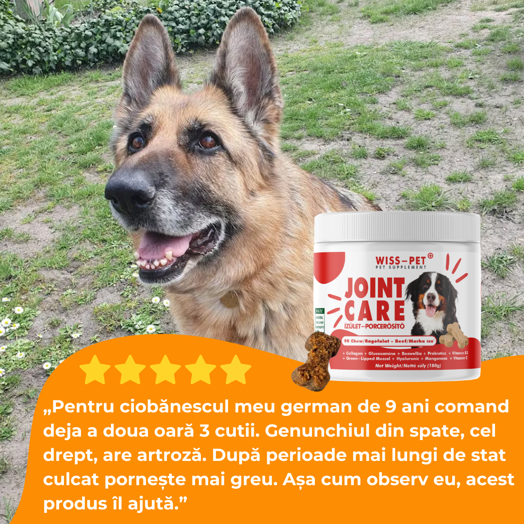 Protector hipoalergenic pentru articulații și întăritor de cartilaj